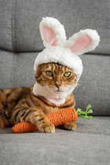 Bengal cat with a carrot toy and a headband with ears on his head.