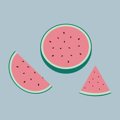 Vector slice watermelon. Vector set of whole and slices watermelon fruit isolated.