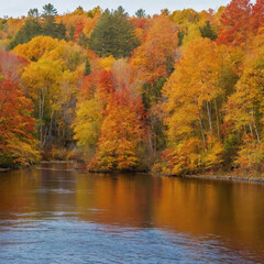 Serpentine River Cutting Through Autumn Woods
