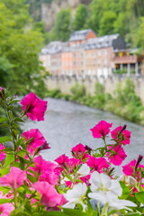 Fototapeta na wymiar Colorful flowers on the bridge over the river Ourthe in La Roche-en-Ardenne, Belgium