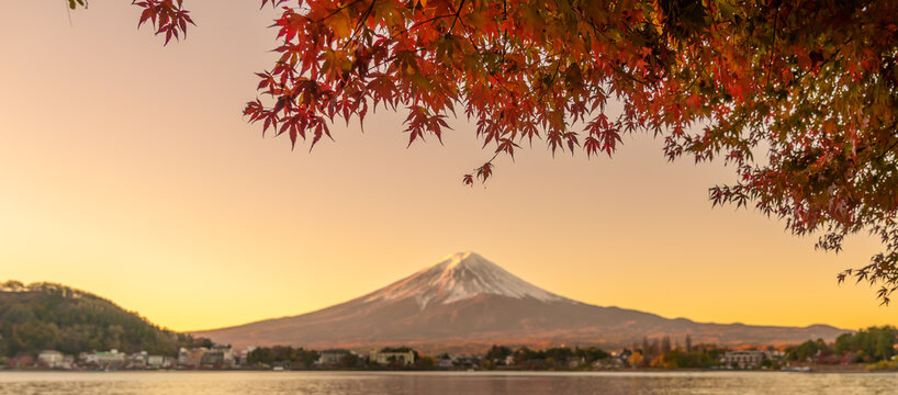 Mount Fuji view at Lake Kawaguchi in Autumn season. Mt Fujisan in Fujikawaguchiko, Yamanashi, Japan. Landmark for tourists attraction. Japan Travel, Destination, Vacation and Mount Fuji Day concept