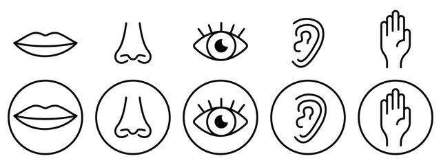 Five senses vector icons set. Hearing, touch, taste, smell, sight. Hand, eye, nose, mouth. Vector icons EPS 10