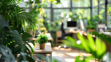 Fototapeta premium Dreamy defocused scene of a bright and airy office featuring a stunning array of potted plants and a serene natural backdrop creating a harmonious balance between work and nature. .