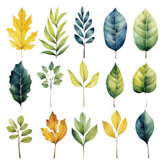 set of leaves