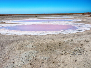 Subsidence funnels on salt marsh are filled with lakes of diverse colors. Red color caused by...