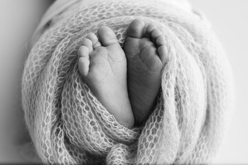 The tiny foot of a newborn baby. Soft feet of a new born in a wool blanket. Close up of toes, heels...