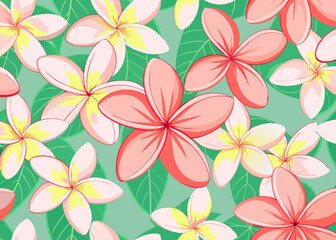 Plumeria flower background,plumeria, flower background, modern pattern, vector, beauty background