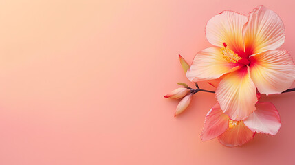 Obraz premium Flower minimal background the beauty that can be further developed is a variety of graphic designs