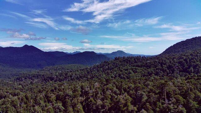 Bosque Chileno Parque Nacional Villarrica