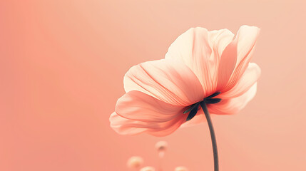 Flower minimal background the beauty that can be further developed is a variety of graphic designs