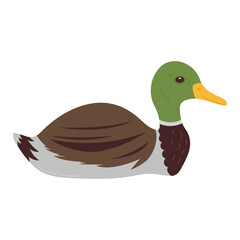 Vector illustration of cute doodle baby duck