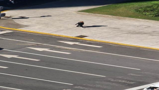 Corner in Buenos Aires
