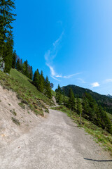 Obraz premium Scenic Mountain Path Through a Forested Hillside on a Clear Day (Kaiser Mountains, Austria)