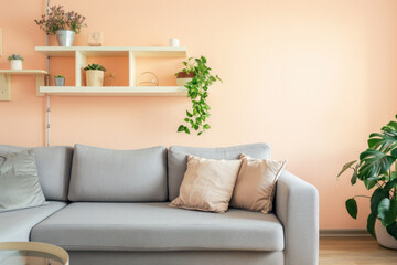 Living room interior design with sofa indoor plants and shelves on a peach wall.