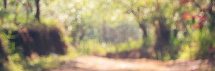 Banner Blur background green park garden nature bright sunny forest. Blurry outdoor park in spring time glowing shinny day template sunlight bokeh. Abstract blurred background banner with copy space