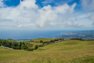 Obraz premium Grass field in mountain with panoramic landscape on the coast of the island of São Miguel - Azores PORTUGAL