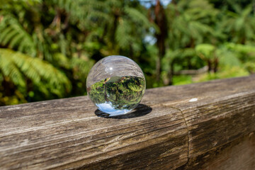 Selective focus on ball reflecting green tree ferns in Caldeira Velha with bokeh background, São...