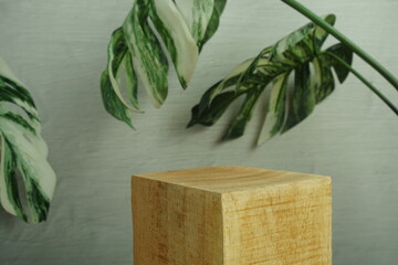 Wooden podium display scene stage showcase front view with copy space and monstera leaves decoration on concrete background