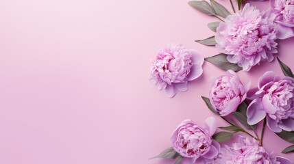 Fototapeta na wymiar Festive bouquet of delicate peonies in pastel colors. Background for a holiday card or invitation. Blooming spring banner - lilac peonies, top view