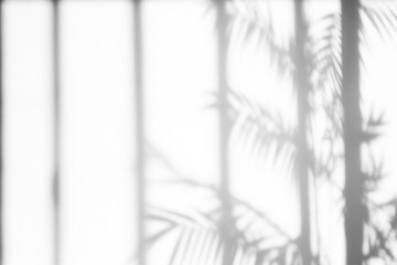 Window shadow png overlay effect, transparent background