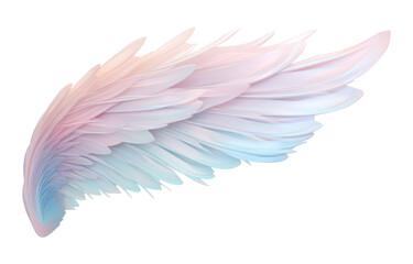 PNG Angel wing bird art lightweight.