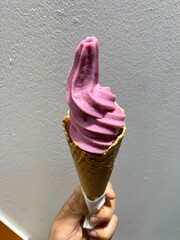 Siam Tulip flower ice cream cone 