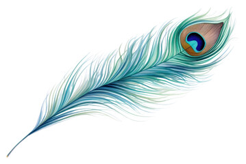 Obraz premium PNG A peacock feather pattern animal white background