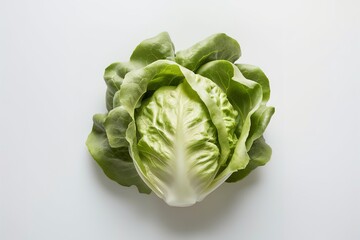 butterhead lettuce vegetable on white background