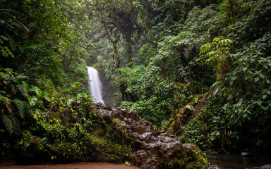 Waterfall deep in the rainforest, Landscape of beautiful nature, Green jungle - 787328617