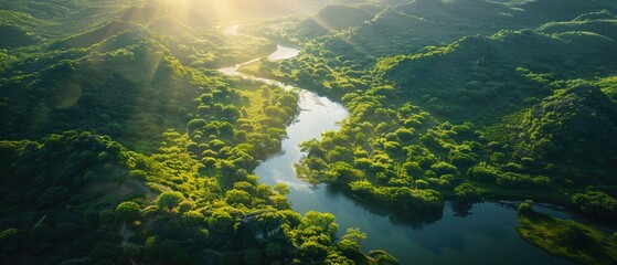 Aerial view of a winding river snaking through a lush green canyon, sunlight dappling through the...