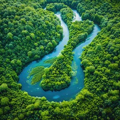 Aerial view of a winding river through a dense, vibrant green forest , high-resolution