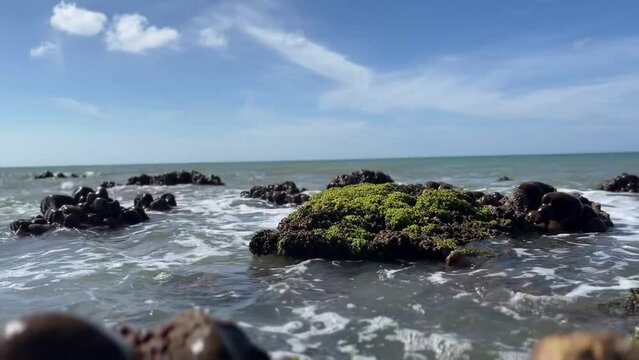 Sea wave rocky coral reefs beach video