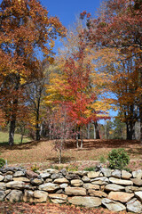 Rock Fence and Autumn Foliage