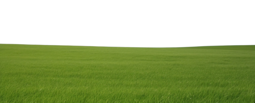 PNG  A grassy field with clear blue sky backgrounds landscape outdoors. 