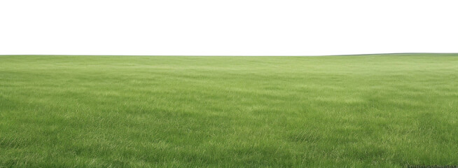 PNG  A grassy field with clear blue sky backgrounds outdoors horizon. 
