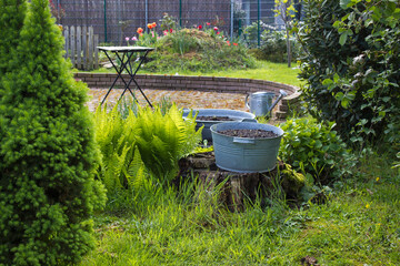 rustic garden -  fern and plants in tin tub