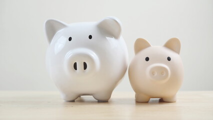 Finance, saving money, Piggy bank, white background, money saving concept