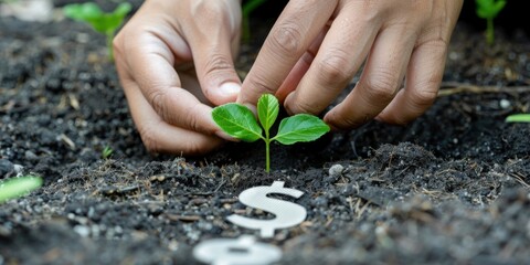 A person planting a seedling with a dollar sign, illustrating the concept of investing for future growth.  - Powered by Adobe
