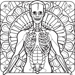 Anatomy coloring pages. Anatomy outline for coloring book