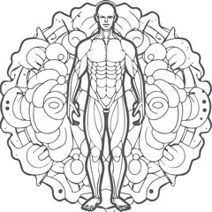 Anatomy coloring pages. Anatomy outline for coloring book