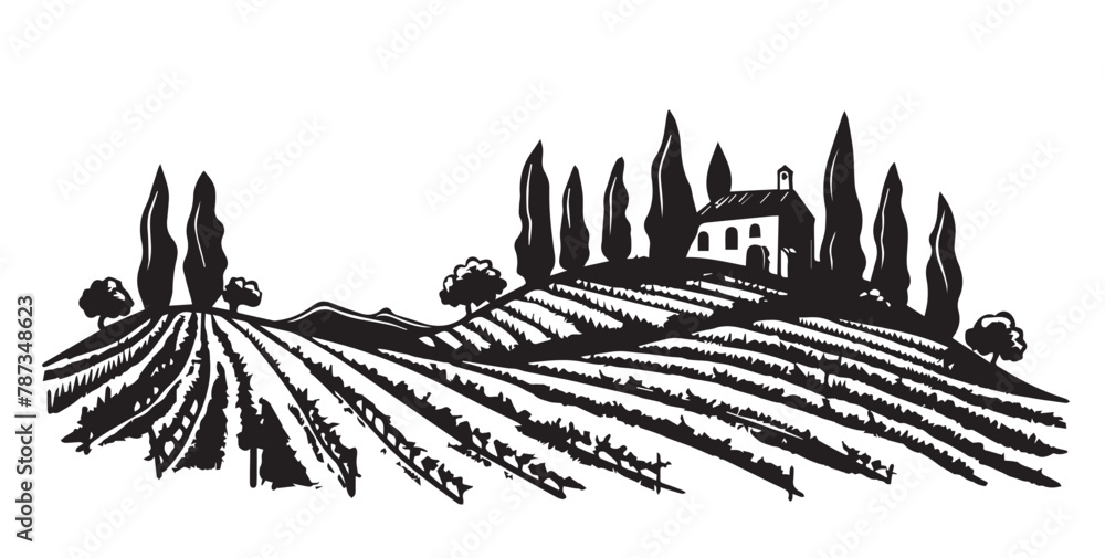 Wall mural vineyard landscape, sketch, hand drawn illustrations.