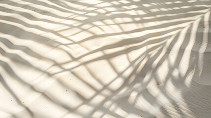 Banner of Palm leaf shadow on sand top view copy space : Generative AI