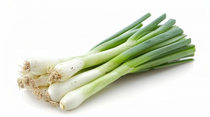 Single fresh leek vegetable isolated on clean white background for optimal search visibility