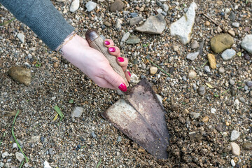Dirty woman's hand working in the vegetable garden with a trowel. Well-groomed female hands soiled with dirt.