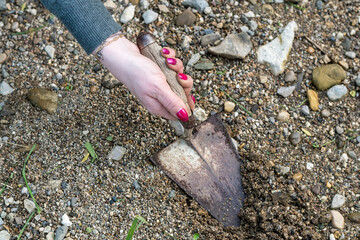 Dirty woman's hand working in the vegetable garden with a trowel. Well-groomed female hands soiled...