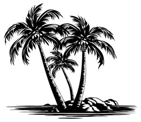 black silhouette of palm trees on the island