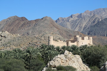 Date trees in front of a fort, Nakhal Fort, Oman