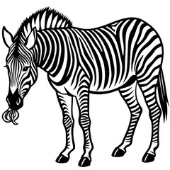 Fototapeta na wymiar zebra-is-eat vector design 