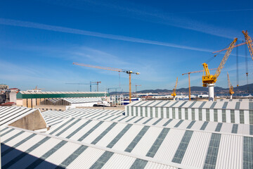 This image showcases several large yellow industrial cranes towering over a construction site with a clear blue sky