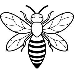 bee and flower